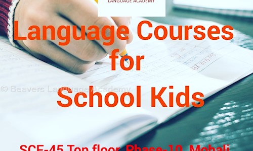 Beavers Language Academy in Sector 64, Mohali - 160062