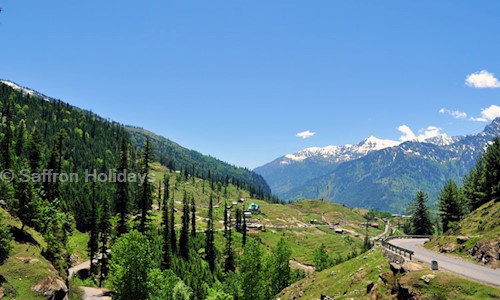 Saffron Holidays in Pune R.S., Pune - 411057