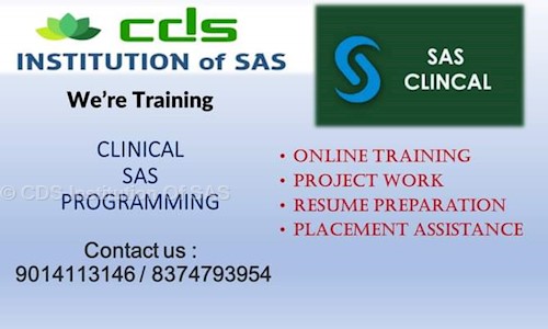 CDS Institution Of SAS