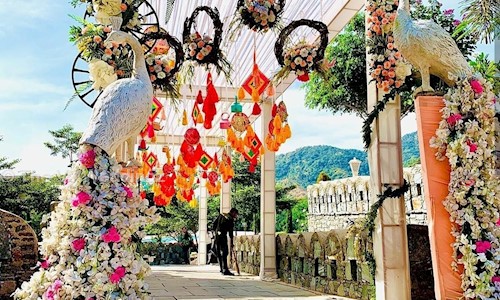 The VJ Weddingz in Sajjan Nagar, Udaipur - 313001