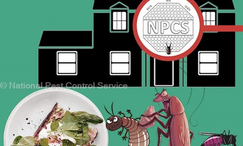 National Pest Control Service in Nava Naroda, Ahmedabad - 382330