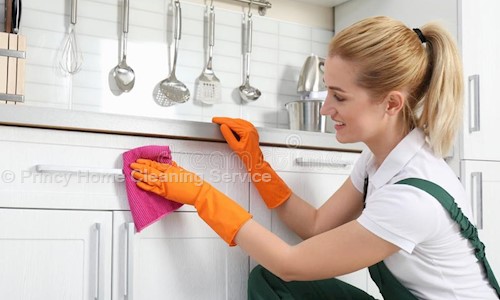 Princy home cleaning services in Kattupakkam, Chennai - 600056