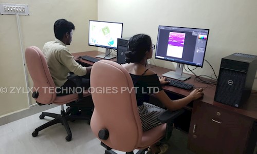 ZYLXY TECHNOLOGIES PVT LTD in Choolaimedu, Chennai - 600094