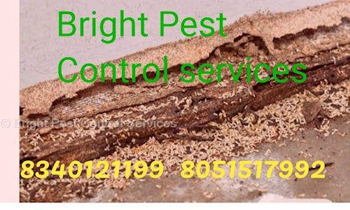 Bright Pest Control Services in Sandalpur, Patna - 800007