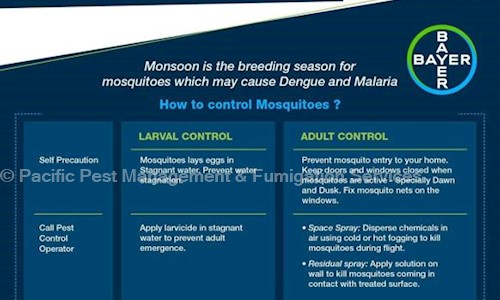 Pacific Pest Management & Fumigation Services in Mansarovar, Jaipur - 302020