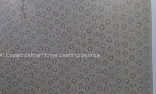Expert painterHome painting service in Sector 32, Faridabad - 121003