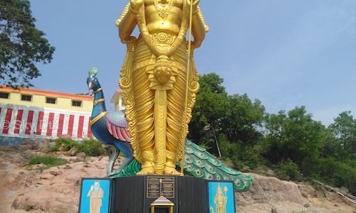 Sky Dth in Villivakkam, Chennai - 600049