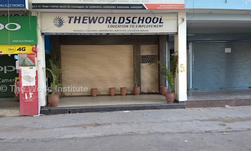 THE WORLD INSTITUTE in Sector 34, Chandigarh - 140060