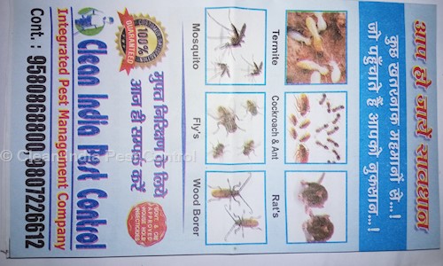 Clean India Pest Control in Naubasta, Kanpur - 208021