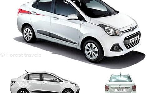 Forest travels in Panvel, Mumbai - 410206