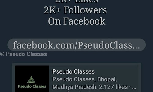 Pseudo Classes in Vaishali Nagar, Bhopal - 462003