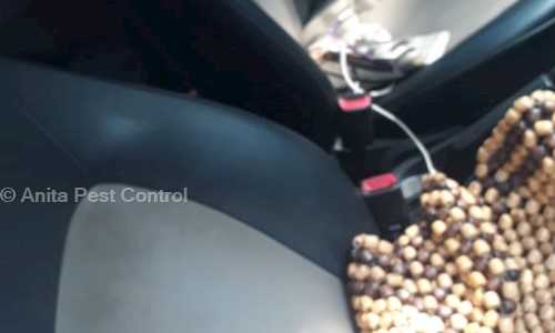 Anita Pest Control in Bhandup West, Mumbai - 400078
