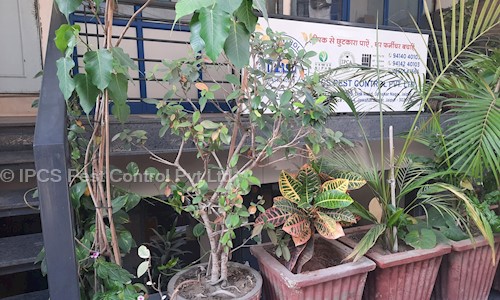IPCS Pest Control Pvt Ltd in Jawahar Nagar, Jaipur - 302004