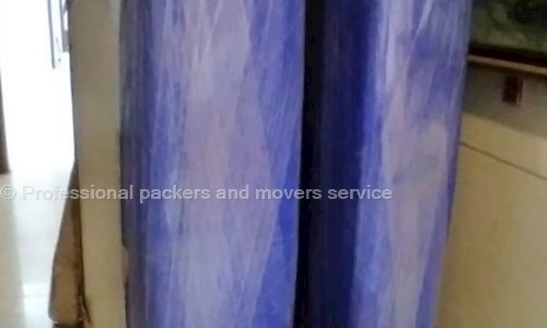 Professional packers and movers service