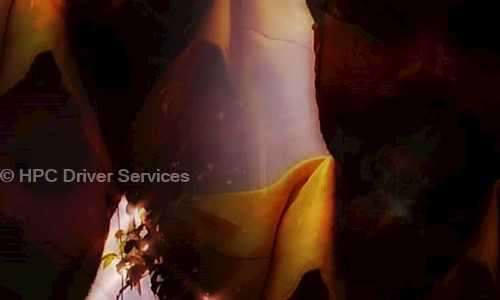 HPC Driver Services in Sadullapur, Greater Noida - 203207