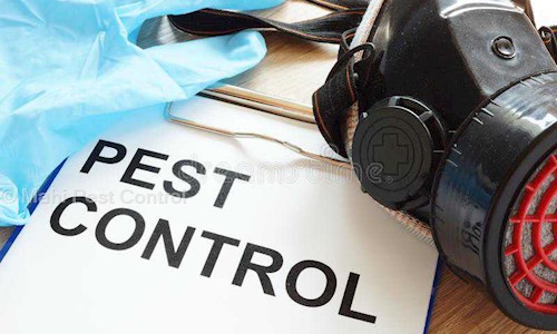 Mahi Pest Control in Nangloi, Delhi - 110041