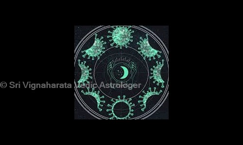 Sri Vignaharata Vedic Astrologer in Nalasopara, Mumbai - 401203