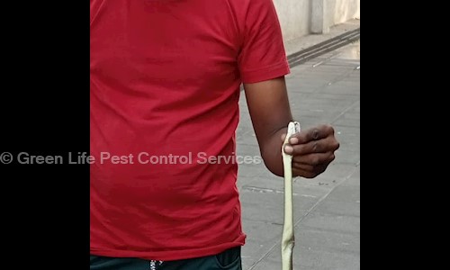 Green Life Pest Control Services in Khar West, Mumbai - 400052