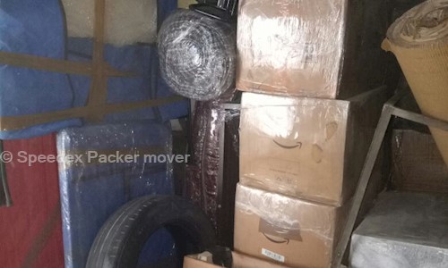 Speedex Packer And Mover in Malviya Nagar, Delhi - 122001