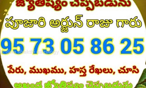 Siva shakthi astrology in Krishna Lanka, Vijayawada - 520013