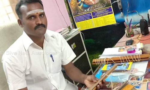 Siva Nadi Astrologer in V.S. Road, Coimbatore - 641401