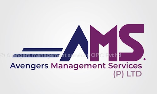 Avengers Management Services (Opc) Pvt. Ltd. in Nawada, Delhi - 110059