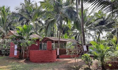Babuto farms  in Canacona, Goa - 