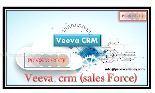Proexcellency Solutions Pvt. Ltd in Ejipura, Bangalore - 560047