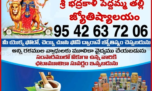Sri vanadhurga jyotishyalayam in 10th Road, Vijayawada - 520010