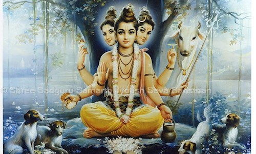 Shree Sadguru Samarth Jyotish Seva Sansthan in Kandivali West, Mumbai - 400067