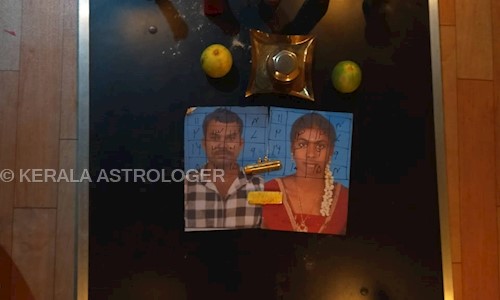 Kerala  Astrolger  in Anna Nagar, Chennai - 605001