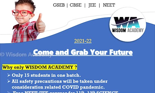 Wisdom Academy