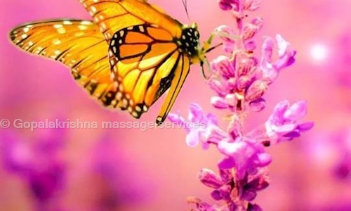 Body Massage At Door step in LB Nagar, Hyderabad - 500035