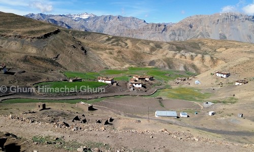 Ghum Himachal Ghum in Dharamshala, Dharamshala - 