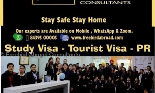 Freebird Abroad Consultants in Sector 34, Chandigarh - 160022