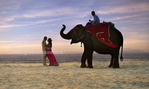 Wedding entertainment in Davorlim, Goa - 403707