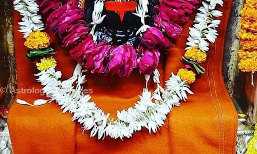 Astrologer Services in Varanasi City, Varanasi - 302019