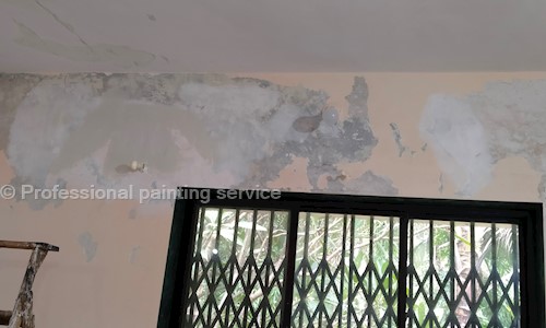 Professional painting service  in Hadapsar, Pune - 411028