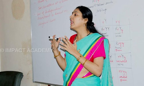 IMPACT ACADEMY