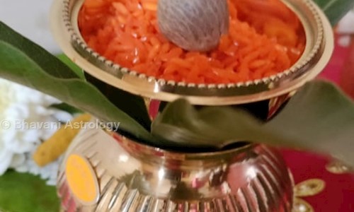 Bhavani Astrology in Nalasopara, Mumbai - 401203