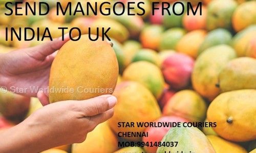 Star Worldwide Couriers in Nungambakkam, Chennai - 600034