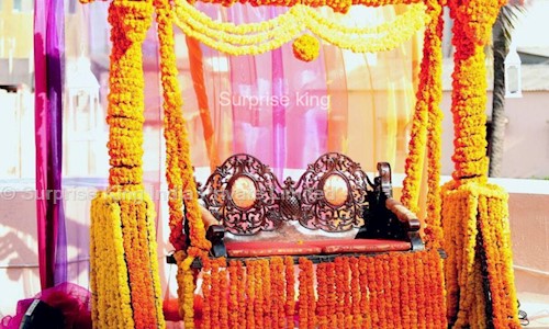 Surprise King India Private Limited in Uttam Nagar West, Delhi - 110059