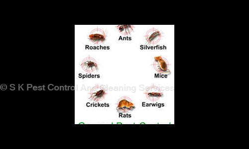 S K Pest Control And Cleaning Services in Satyam Park Society, Vadodara - 390020