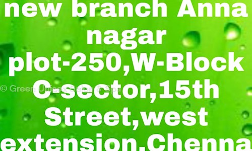 Green Unisex Salon & Spa in Anna Nagar West Extension, Chennai - 600101
