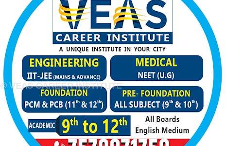 VEAS CAREER INSTITUTE