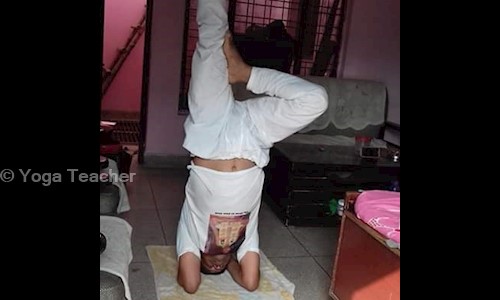Yoga Teacher in Sector 9, Gurgaon - 201301
