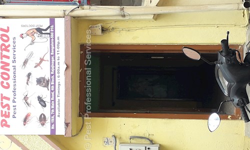 Pest Professional Services in Rajaji Nagar, Bangalore - 560010
