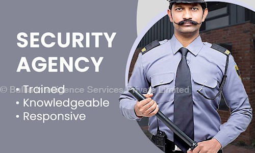 Ballia Intelligence Services Private Limited in Shaikpet, Hyderabad - 500007