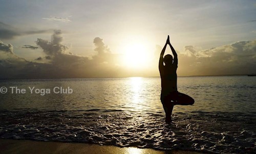 The Yoga Club in Wazirabad, Gurgaon - 122022