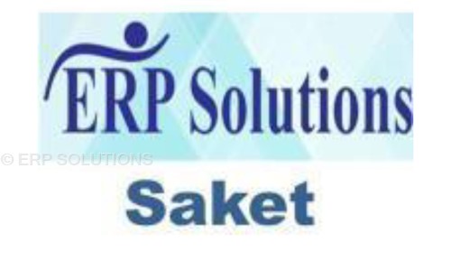 ERP SOLUTIONS in Saket, Delhi - 110017